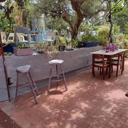 Apartment Casa Sasa