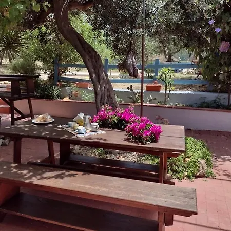 Casa Sasa